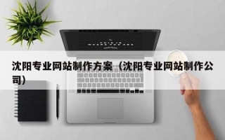 仁寿沈阳专业网站制作方案（沈阳专业网站制作公司）